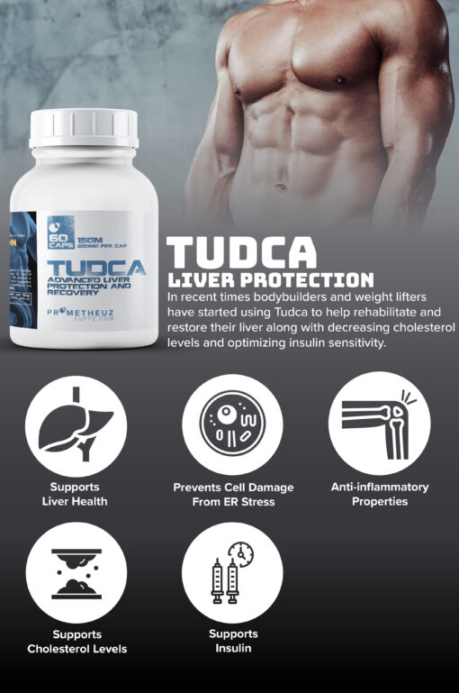 TUDCA